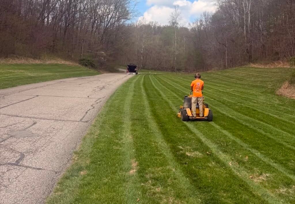 Weekly Mowing